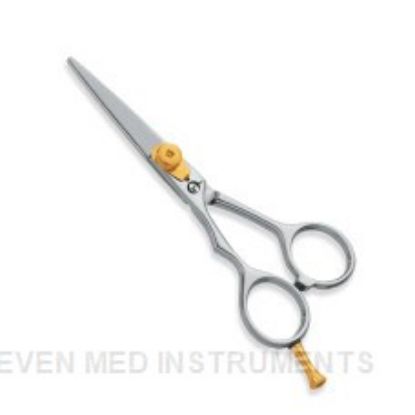 Picture of Professional hair Cutting Scissors