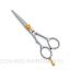 Picture of Professional hair Cutting Scissors