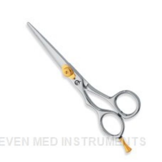 Picture of Professional hair Cutting Scissors