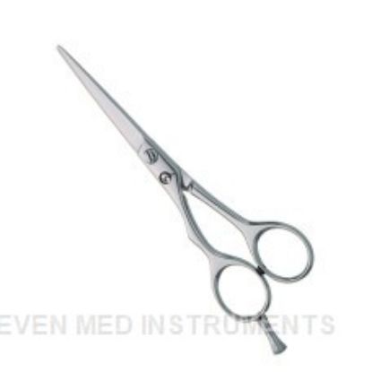 Picture of Professional hair Cutting Scissors