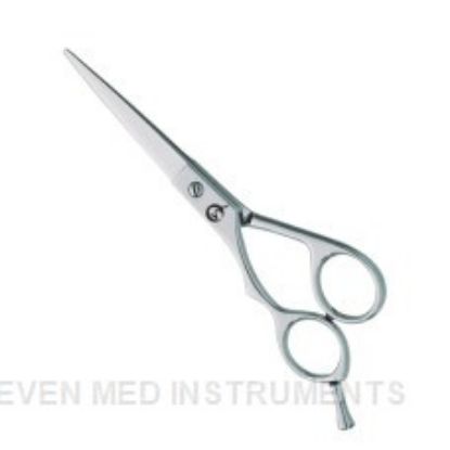 Picture of Professional hair Cutting Scissors