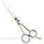Picture of Razor Edge Hair Dressing Scissors