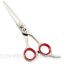 Picture of Razor Edge Hair Dressing Scissors