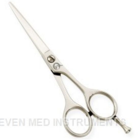 Picture of Standard Hair Dressing Scissors