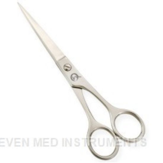 Picture of Standard Hair Dressing Scissors