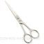 Picture of Standard Hair Dressing Scissors