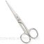 Picture of Standard Hair Dressing Scissors