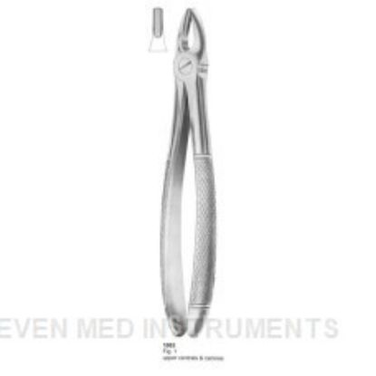 Picture of Extracting Forceps