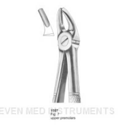 Picture of Extracting Forceps