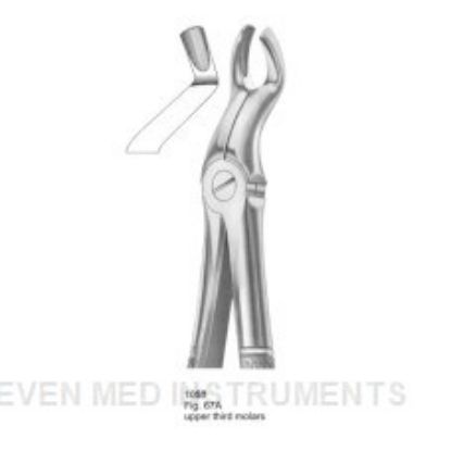 Picture of Extracting Forceps
