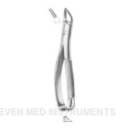 Picture of Extracting Forceps