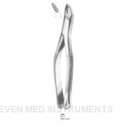 Picture of Extracting Forceps