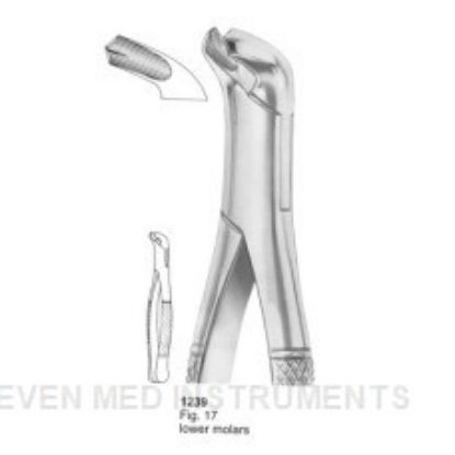 Picture of Extracting Forceps