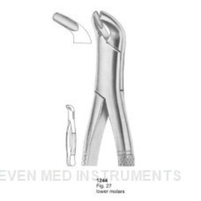 Picture of Extracting Forceps