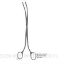 Picture of Gall Stone Forceps