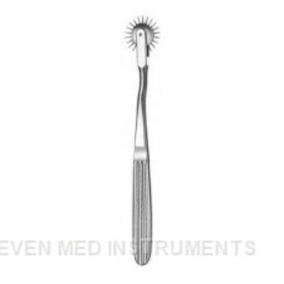 Picture of TAYLOR MOD USA