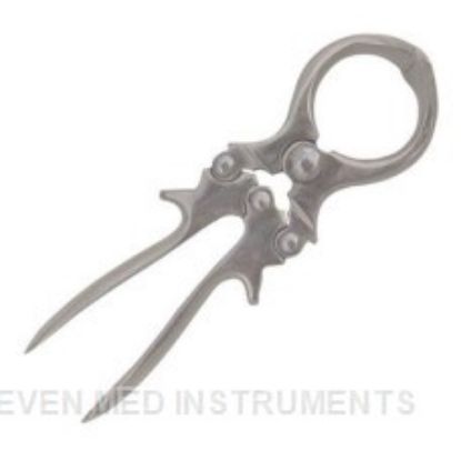 Picture of CASTRATION FORCEPS